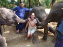 Day 9 - Chiang Mai - Elephant Camp 049